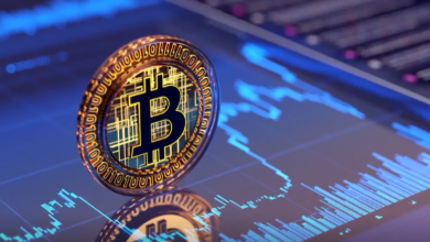 إنفوجرافيك يوضح للمبتدئين أهم 3 أمور قبل شراء البيتكوين: تقلبات الأسعار العالية، ضرورة استخدام محافظ آمنة لحفظ الأصول، وأهمية إجراء البحث الشخصي حول السوق والرسوم لتجنب الاحتيال.